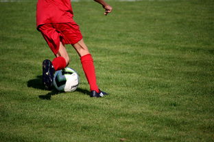 米兰体育入口-中国篮球教练员职业发展规划及培训体系优化研究,篮球教练发展前景