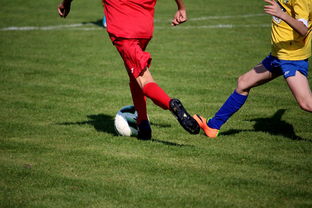 米兰体育官网登录入口-世界马拉松大满贯赛事上海站开跑，世界马拉松大满贯赛事上海站开跑时间